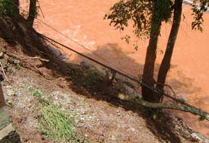 365速发国际(中国)官方网站