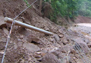 365速发国际(中国)官方网站