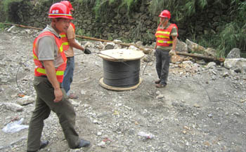 365速发国际(中国)官方网站