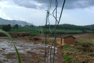 365速发国际(中国)官方网站