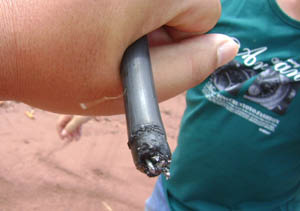 365速发国际(中国)官方网站