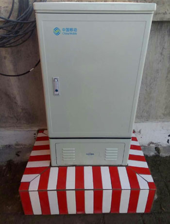 365速发国际(中国)官方网站