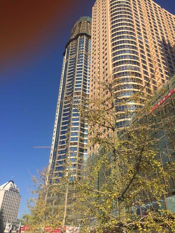 365速发国际(中国)官方网站