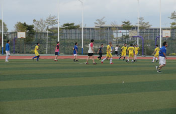 365速发国际(中国)官方网站