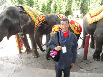 365速发国际(中国)官方网站