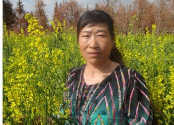 365速发国际(中国)官方网站