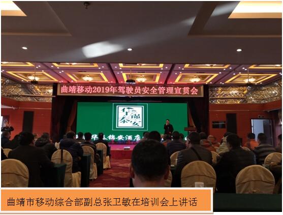 365速发国际(中国)官方网站