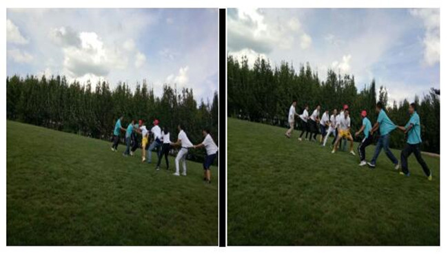 365速发国际(中国)官方网站