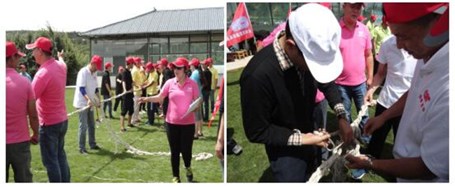 365速发国际(中国)官方网站