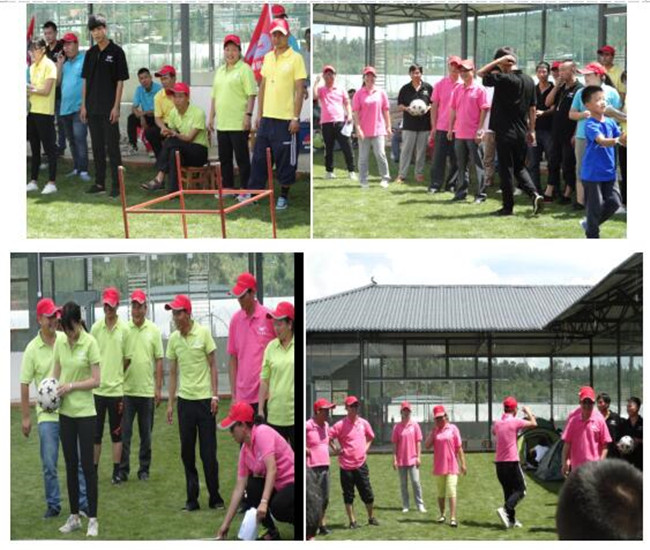 365速发国际(中国)官方网站