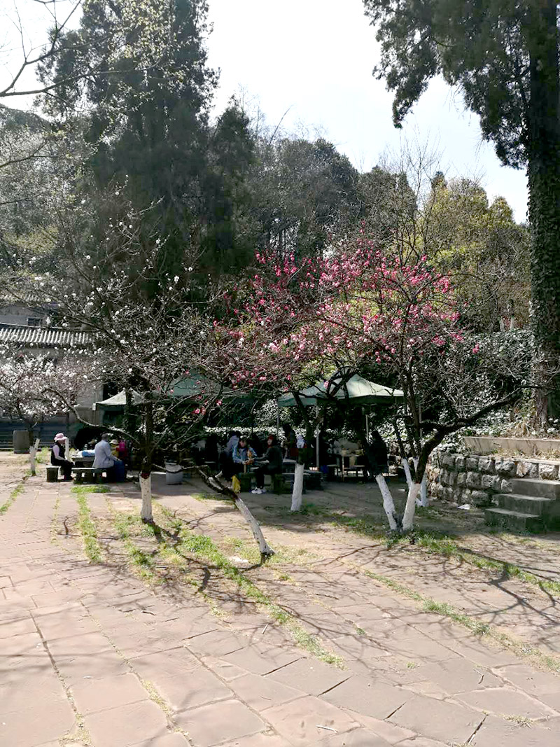 365速发国际(中国)官方网站