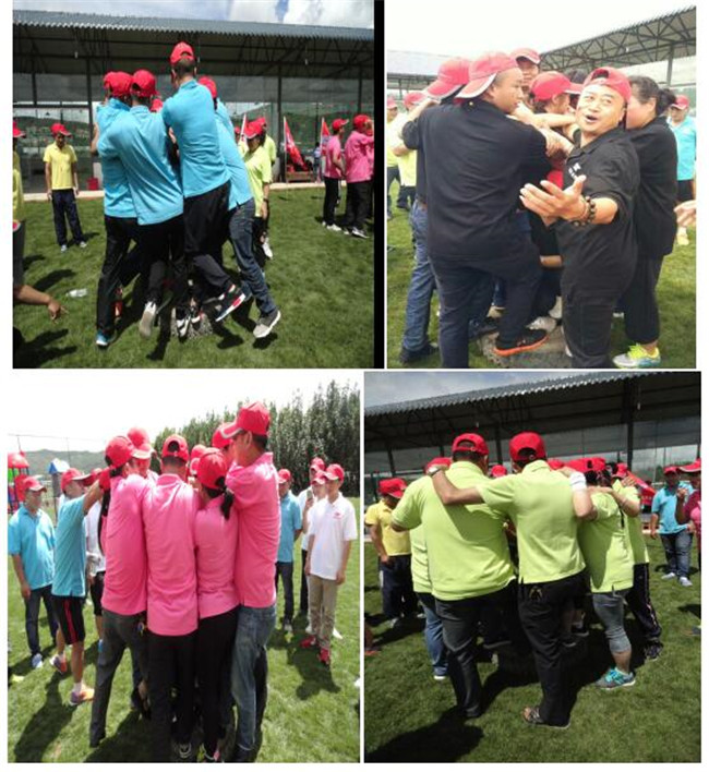 365速发国际(中国)官方网站