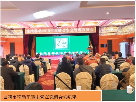 365速发国际(中国)官方网站