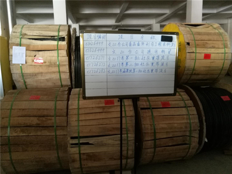 365速发国际(中国)官方网站