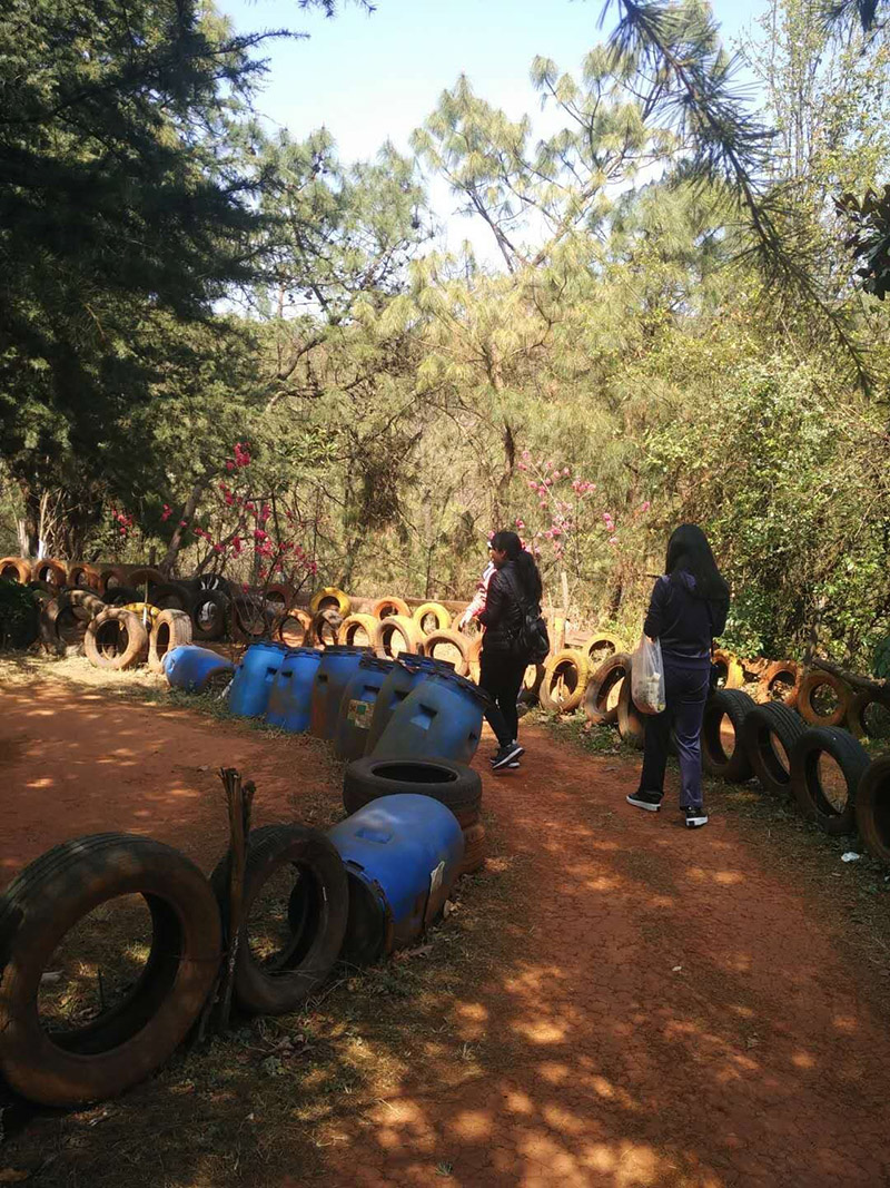 365速发国际(中国)官方网站