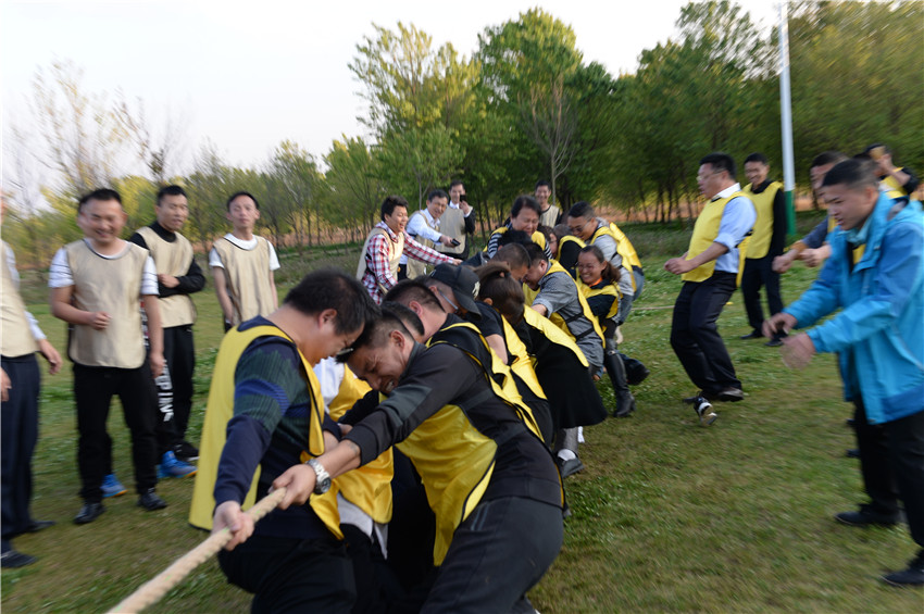 365速发国际(中国)官方网站