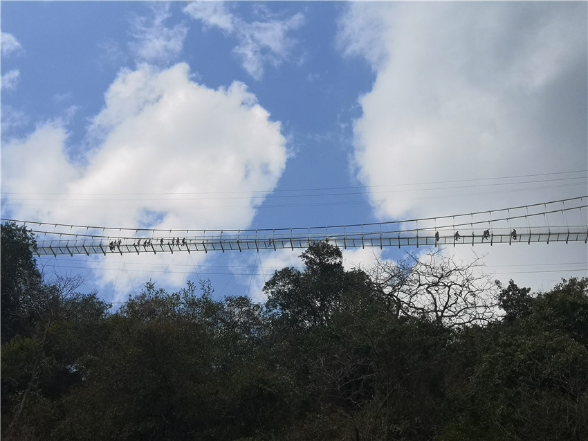 365速发国际(中国)官方网站