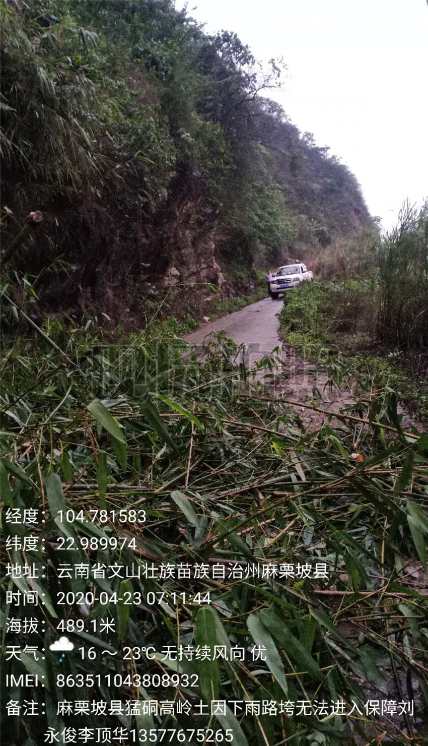 365速发国际(中国)官方网站