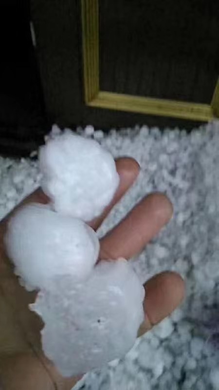 365速发国际(中国)官方网站