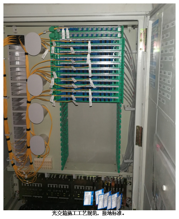 365速发国际(中国)官方网站