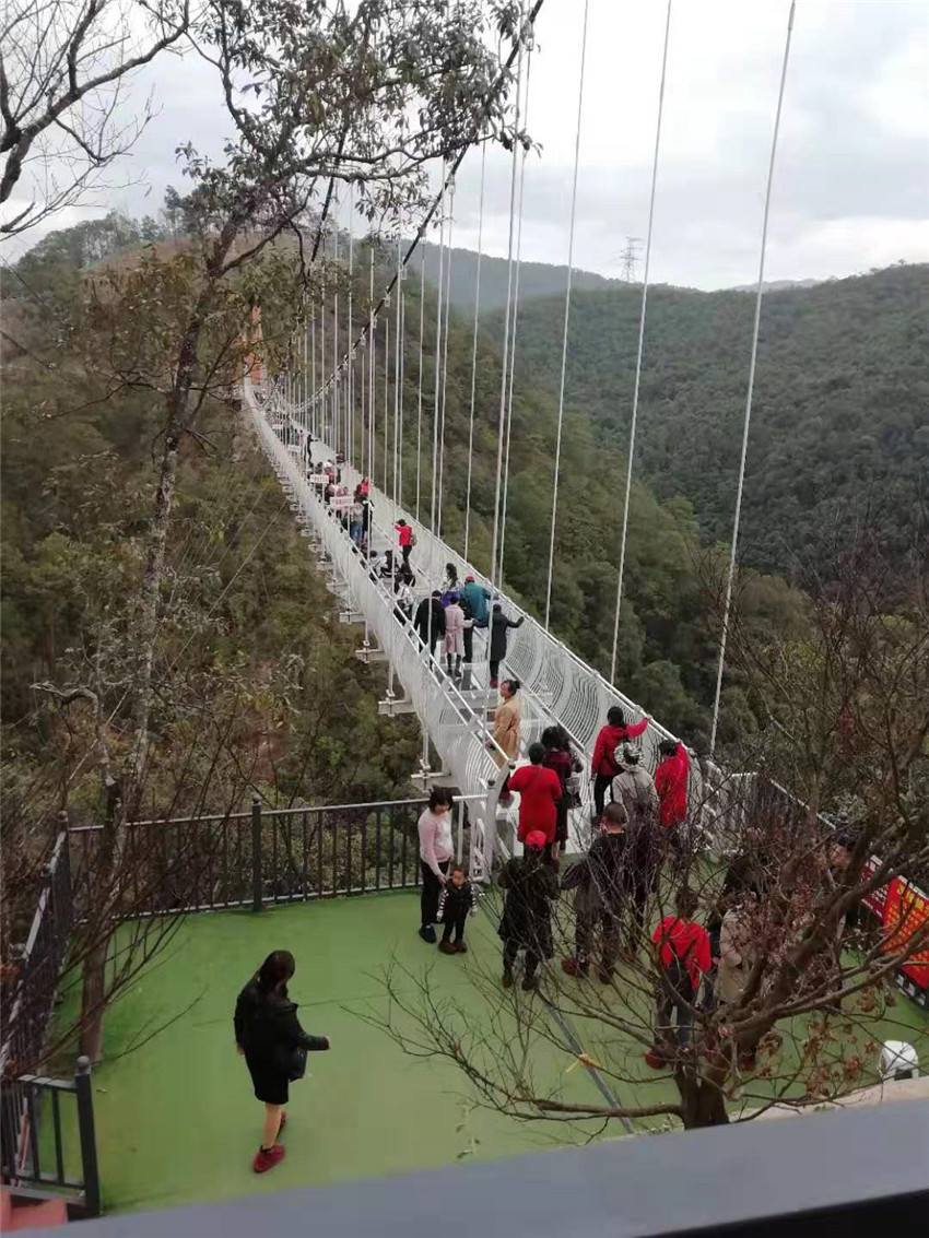 365速发国际(中国)官方网站