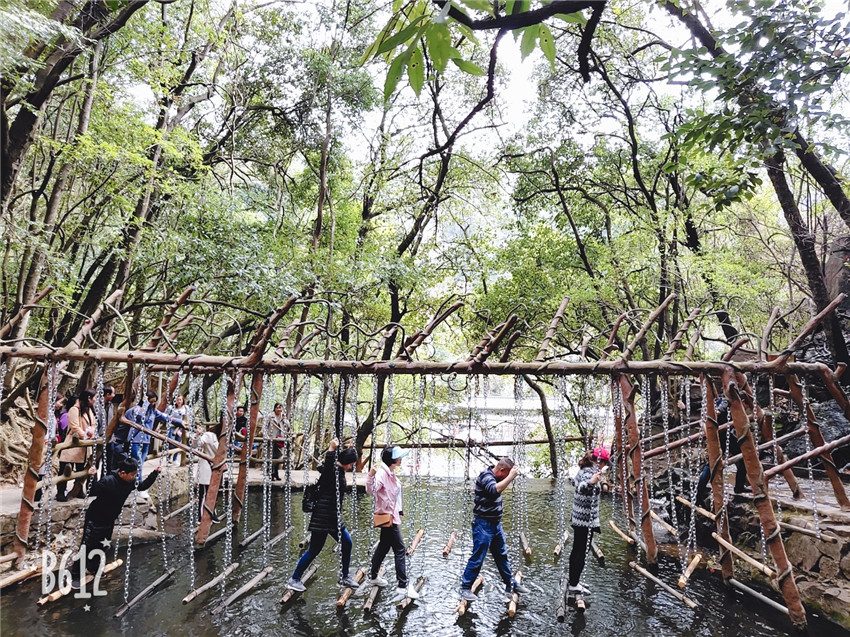 365速发国际(中国)官方网站