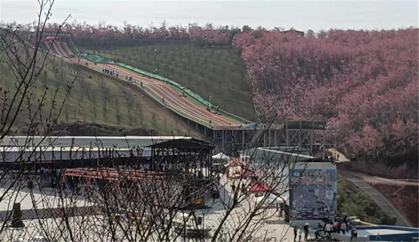 365速发国际(中国)官方网站