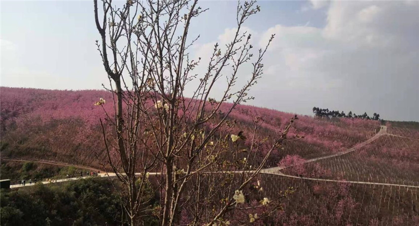 365速发国际(中国)官方网站